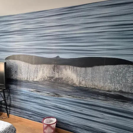 Ubytování v soukromí Au Calme A Champtoceaux Pres De Oudon